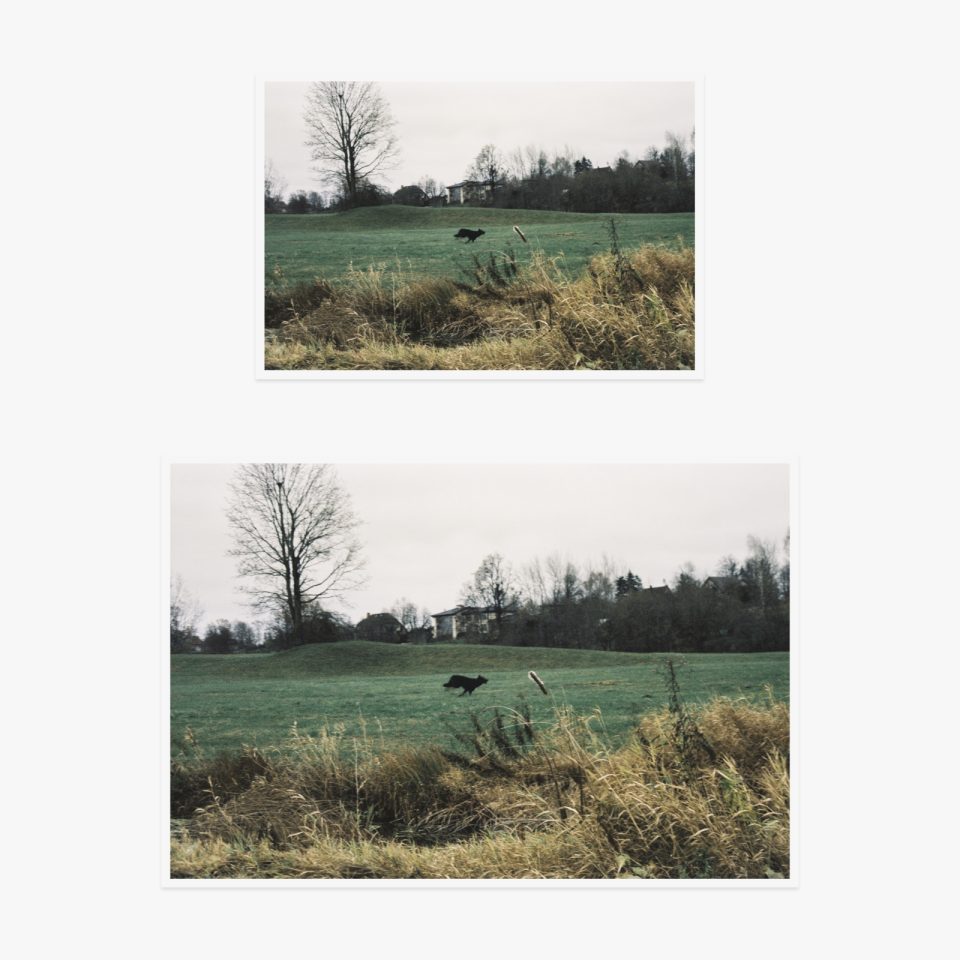 Svetlana Topunova — A black dog running, 2024