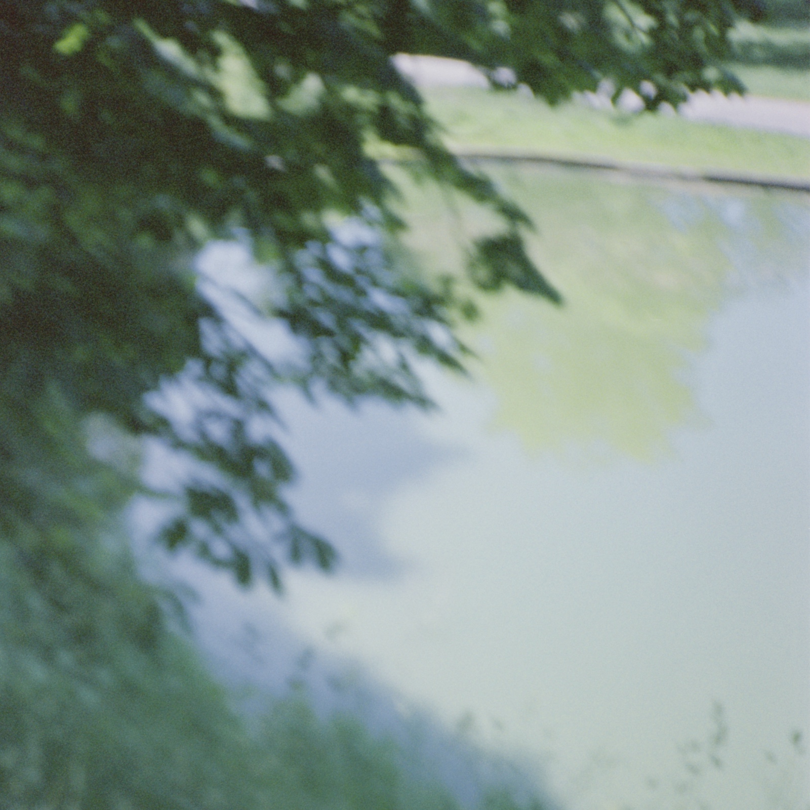 Светлана Топунова - Pond